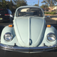 A Very Cheerful Beetle Smiles for the Camera
